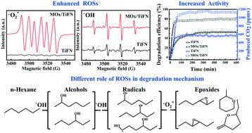 Graphical abstract: Photocatalytic ozonation mechanism of gaseous n-hexane on MOx–TiO2–foam nickel composite (M = Cu, Mn, Ag): unveiling the role of ˙OH and ˙O2−