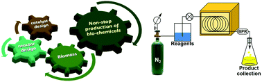 Graphical abstract: Boosting biomass valorisation. Synergistic design of continuous flow reactors and water-tolerant polystyrene acid catalysts for a non-stop production of esters