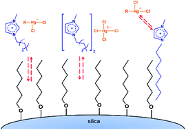 Graphical abstract: Usefulness of ionic liquids as mobile phase modifiers in HPLC-CV-AFS for mercury speciation analysis in food