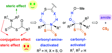 Graphical abstract: Computational study of the mechanism of amide bond formation via CS2-releasing 1,3-acyl transfer