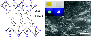 Graphical abstract: Melting temperature suppression of layered hybrid lead halide perovskites via organic ammonium cation branching