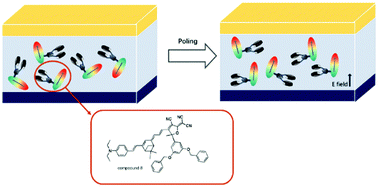 Graphical abstract: Design, synthesis, and properties of nonlinear optical chromophores based on a verbenone bridge with a novel dendritic acceptor