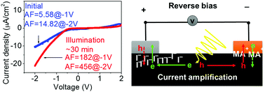 Graphical abstract: Giant current amplification induced by ion migration in perovskite single crystal photodetectors