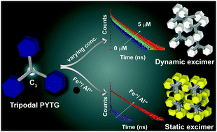 Graphical abstract: Dynamic and static excimer: a versatile platform for single component white-light emission and chelation-enhanced fluorescence