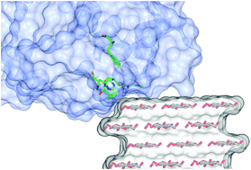 Graphical abstract: Insights from semi-oriented EPR spectroscopy studies into the interaction of lytic polysaccharide monooxygenases with cellulose