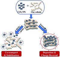 Graphical abstract: Effect of the irrigation water type and other environmental parameters on CeO2 nanopesticide–clay colloid interactions