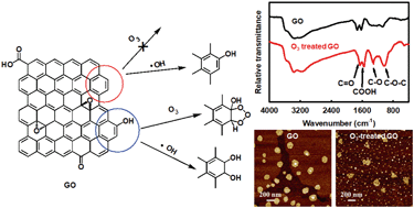 Graphical abstract: Effects of ozone and produced hydroxyl radicals on the transformation of graphene oxide in aqueous media