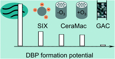 Graphical abstract: Selective removal of natural organic matter during drinking water production changes the composition of disinfection by-products