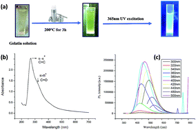 Graphical abstract: Hydrothermal synthesis of carbon nanodots from bovine gelatin and PHM3 microalgae strain for anticancer and bioimaging applications