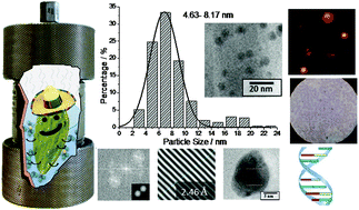 Graphical abstract: Structural, luminescence and geno/cytoxicity study of carbon dots derived from Opuntia ficus-indica (L.) Mill