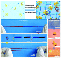 Graphical abstract: An interfacially polymerized self-healing organo/hydro copolymer with shape memory