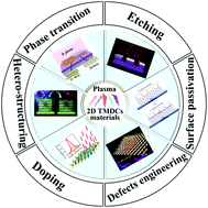 Graphical abstract: Recent advances in plasma modification of 2D transition metal dichalcogenides