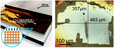 Graphical abstract: Liquid-phase growth and optoelectronic properties of two-dimensional hybrid perovskites CH3NH3PbX3 (X = Cl, Br, I)