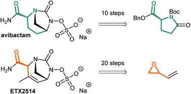 Graphical abstract: Synthetic approaches towards avibactam and other diazabicyclooctane β-lactamase inhibitors