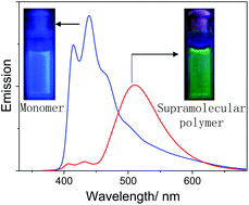 Graphical abstract: Cooperative supramolecular polymerization of phosphorescent alkynyl-gold(i)–isocyanide complexes