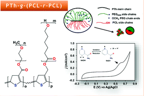 Graphical abstract: An amphiphilic, heterografted polythiophene copolymer containing biocompatible/biodegradable side chains for use as an (electro)active surface in biomedical applications