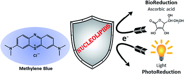 Graphical abstract: Nucleoside-lipid-based nanocarriers for methylene blue delivery: potential application as anti-malarial drug