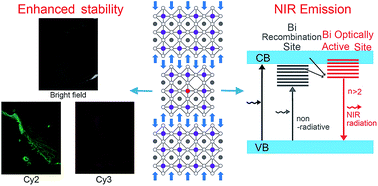 Graphical abstract: Bi3+ doped 2D Ruddlesden–Popper organic lead halide perovskites