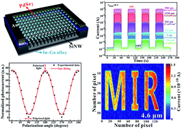 Graphical abstract: Mixed-dimensional PdSe2/SiNWA heterostructure based photovoltaic detectors for self-driven, broadband photodetection, infrared imaging and humidity sensing