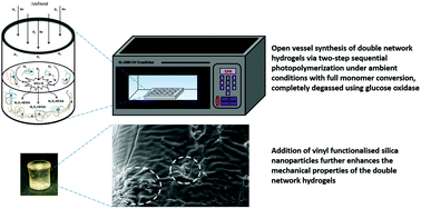 Graphical abstract: Open vessel free radical photopolymerization of double network gels for biomaterial applications using glucose oxidase