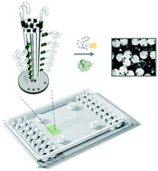 Graphical abstract: Boosting biomolecular interactions through DNA origami nano-tailored biosensing interfaces