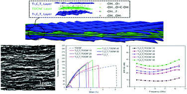Graphical abstract: Ultrastrong and conductive MXene/cellulose nanofiber films enhanced by hierarchical nano-architecture and interfacial interaction for flexible electromagnetic interference shielding