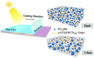 Graphical abstract: The effect of light environment during the film formation process on the morphology and function of organic photovoltaics