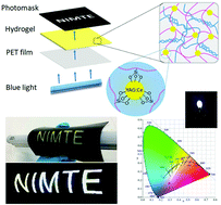 Graphical abstract: White-light-emitting flexible display devices based on double network hydrogels crosslinked by YAG:Ce phosphors