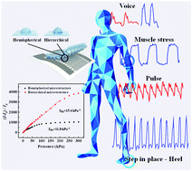 Graphical abstract: A wide linearity range and high sensitivity flexible pressure sensor with hierarchical microstructures via laser marking