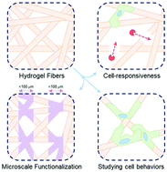 Graphical abstract: Electrospun hydrogels for dynamic culture systems: advantages, progress, and opportunities