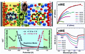 Graphical abstract: Elucidating tuneable ambipolar charge transport and field induced bleaching at the CH3NH3PbI3/electrolyte interface