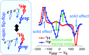 Graphical abstract: Heteronuclear DNP of 1H and 19F nuclei using BDPA as a polarizing agent