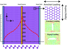 Graphical abstract: Atomic-scale analysis of the physical strength and phonon transport mechanisms of monolayer β-bismuthene