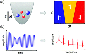 Graphical abstract: Magnetic properties and quench dynamics of two interacting ultracold molecules in a trap