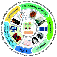 Graphical abstract: Harnessing molecular rotations in plastic crystals: a holistic view for crystal engineering of adaptive soft materials