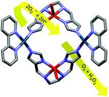 Graphical abstract: A discrete Cu2(Pd-bpy)2L2 heterometallic compound with superoxide dismutase enzyme like activity