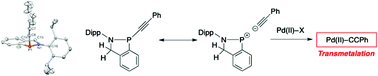 Graphical abstract: P-Alkynyl functionalized benzazaphospholes as transmetalating agents