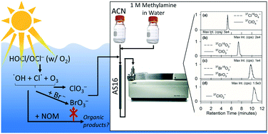 Graphical abstract: Rapid, high-sensitivity analysis of oxyhalides by non-suppressed ion chromatography-electrospray ionization-mass spectrometry: application to ClO4−, ClO3−, ClO2−, and BrO3− quantification during sunlight/chlorine advanced oxidation