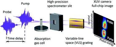 Graphical abstract: XUV pump–XUV probe transient absorption spectroscopy at FELs