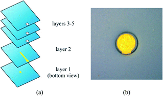 Graphical abstract: A ceramic microchip with LDA-APGD as the excitation source for OES – a sensitive Hg detecting sensor for microsample analysis