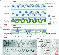 Graphical abstract: Dynamic pneumatic rails enabled microdroplet manipulation