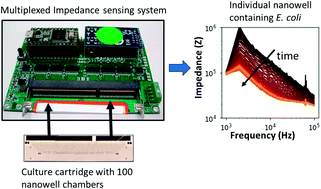 Graphical abstract: Digital electrical impedance analysis for single bacterium sensing and antimicrobial susceptibility testing