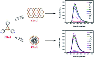 Graphical abstract: A facile synthesis of two ionized fluorescent carbon dots and selective detection toward Fe2+ and Cu2+