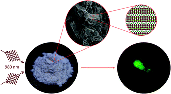 Graphical abstract: Yb3+/Er3+ co-doped Dion–Jacobson niobium layered perovskites as NIR-to-green upconversion materials