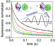 Graphical abstract: Quantitative mechanistic model for ultrasmall nanoparticle–protein interactions