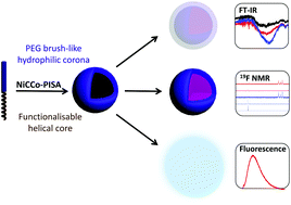 Graphical abstract: Functional nanostructures by NiCCo-PISA of helical poly(aryl isocyanide) copolymers