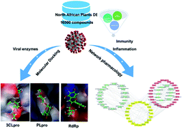 Graphical abstract: Potential role of medicinal plants and their constituents in the mitigation of SARS-CoV-2: identifying related therapeutic targets using network pharmacology and molecular docking analyses