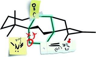 Graphical abstract: Retrosynthetic strategies and their impact on synthesis of arcutane natural products