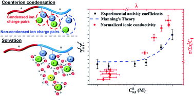 Graphical abstract: Counterion condensation or lack of solvation? Understanding the activity of ions in thin film block copolymer electrolytes