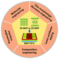 Graphical abstract: Recent developments in fabrication and performance of metal halide perovskite field-effect transistors